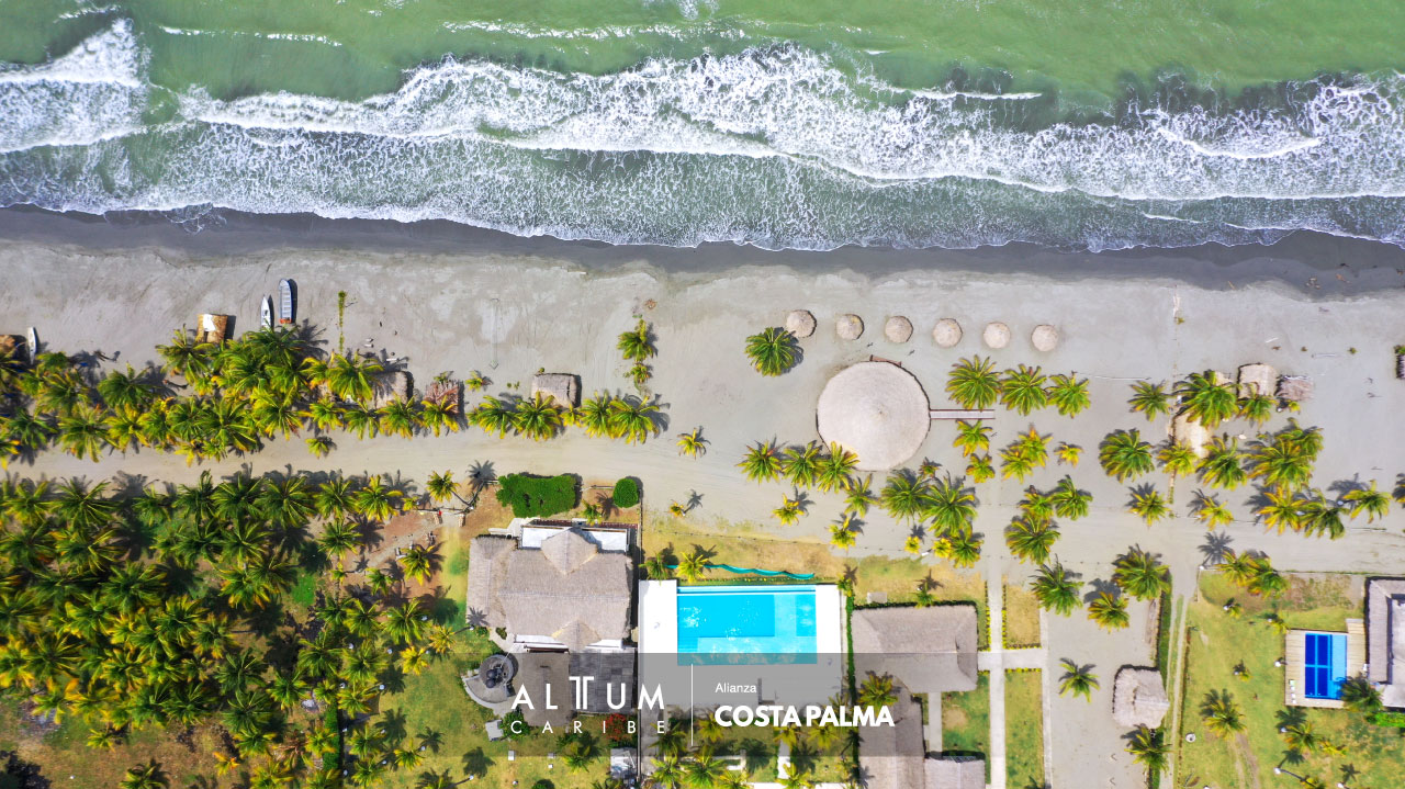 Costa-Palma-Alttum-Caribe-1