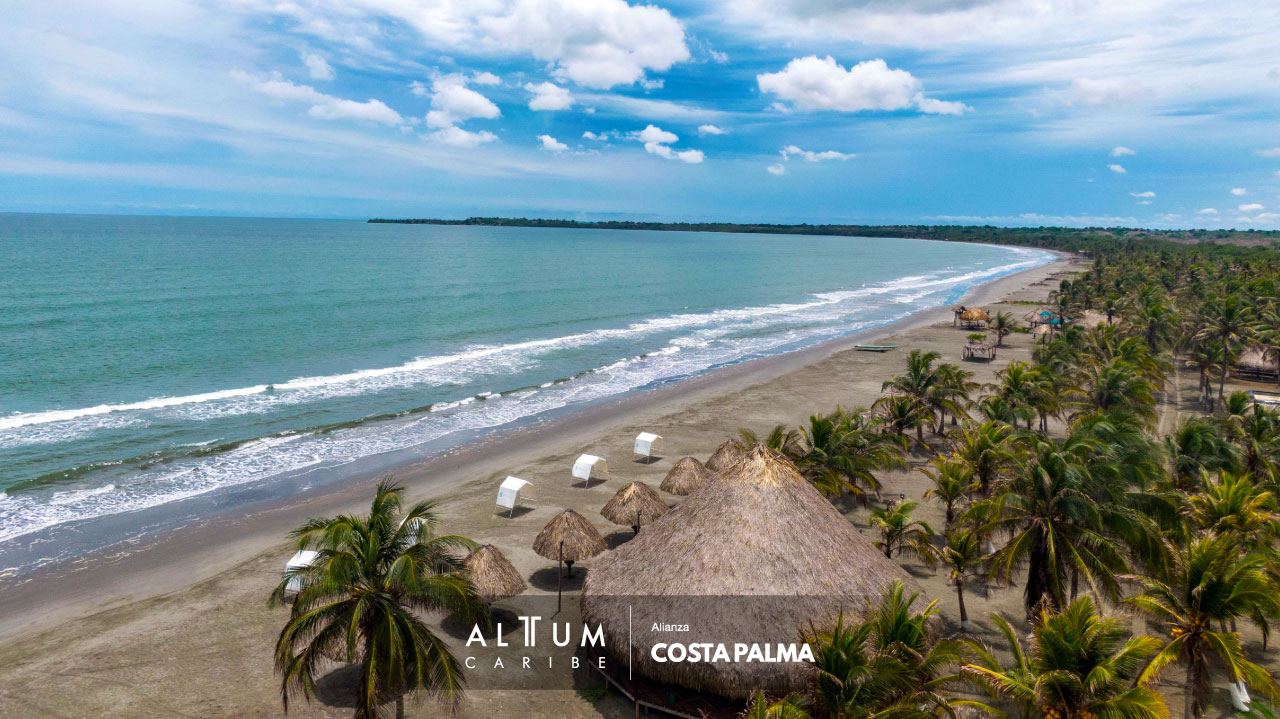 Costa-Palma-Alttum-Caribe-2